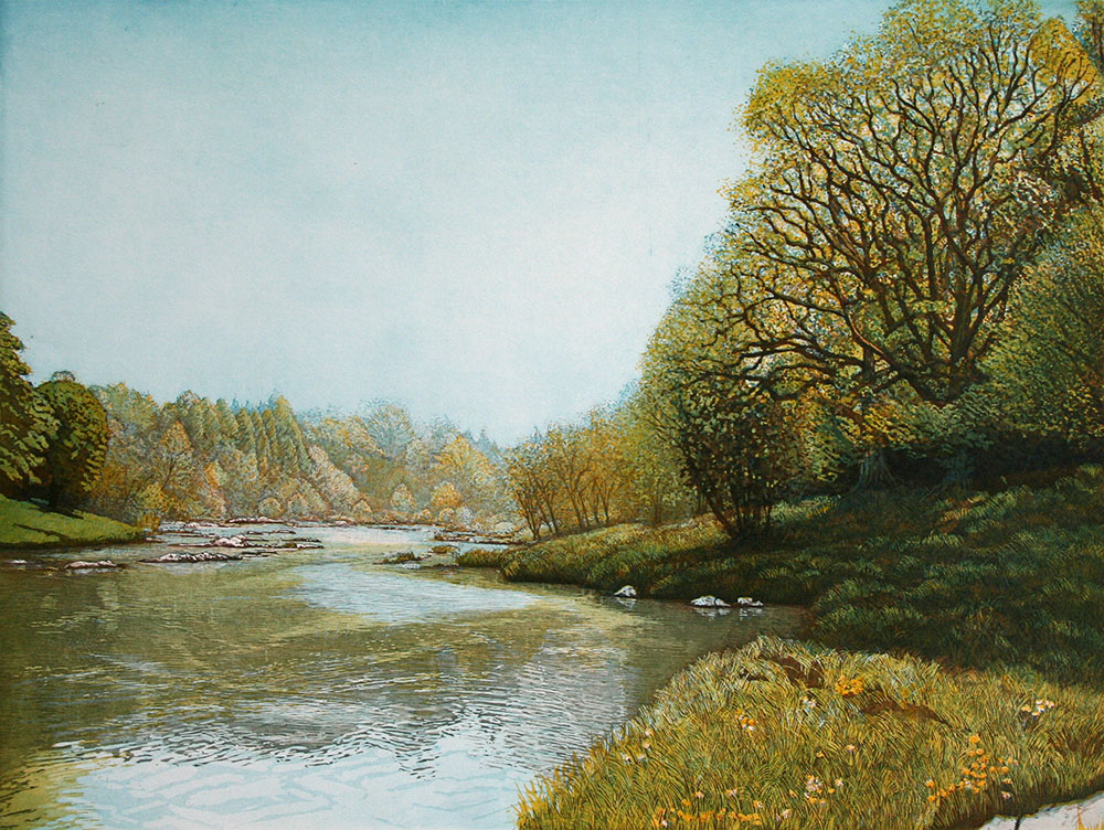 Spring on the River Wye II